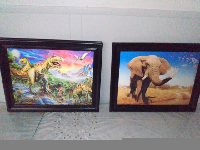 Assorted 3D and 4D Framed Prints: DC Comics, USA, Birds - photo 4