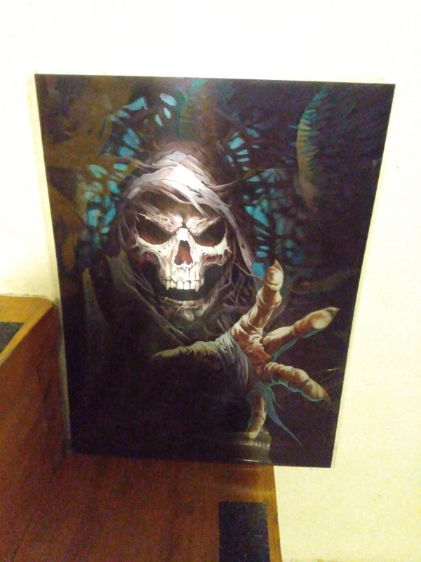 3D/4D Skull and Skeleton Prints