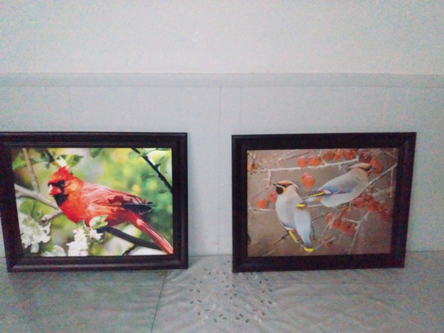 Bird print 3D one left PU Gough Danforth Ave