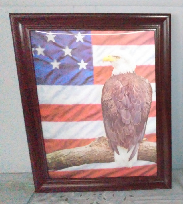 USA eagle 3D and 4D americana prints new