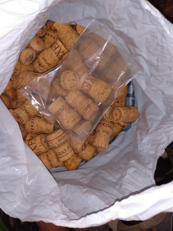 Used wine champagne corks - photo 2