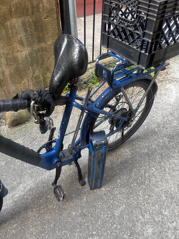 Electric bike