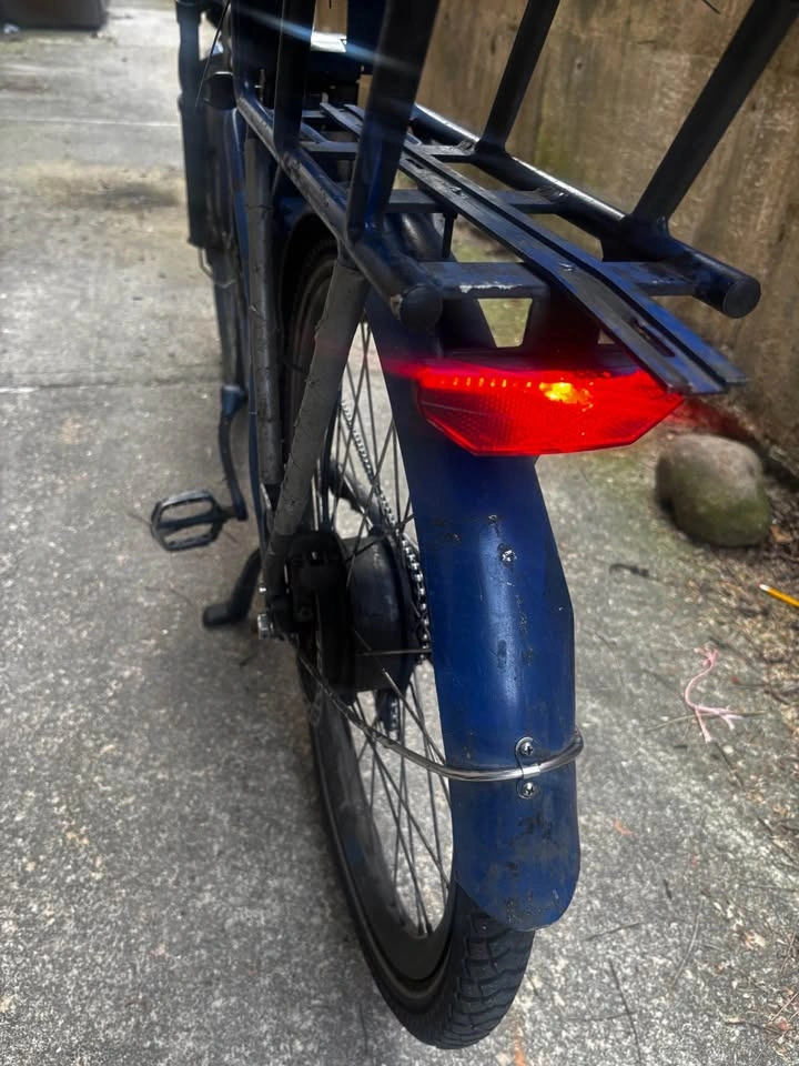 Electric bike - photo 3