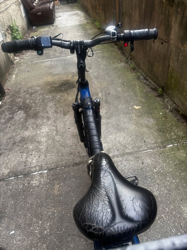Electric bike - photo 4