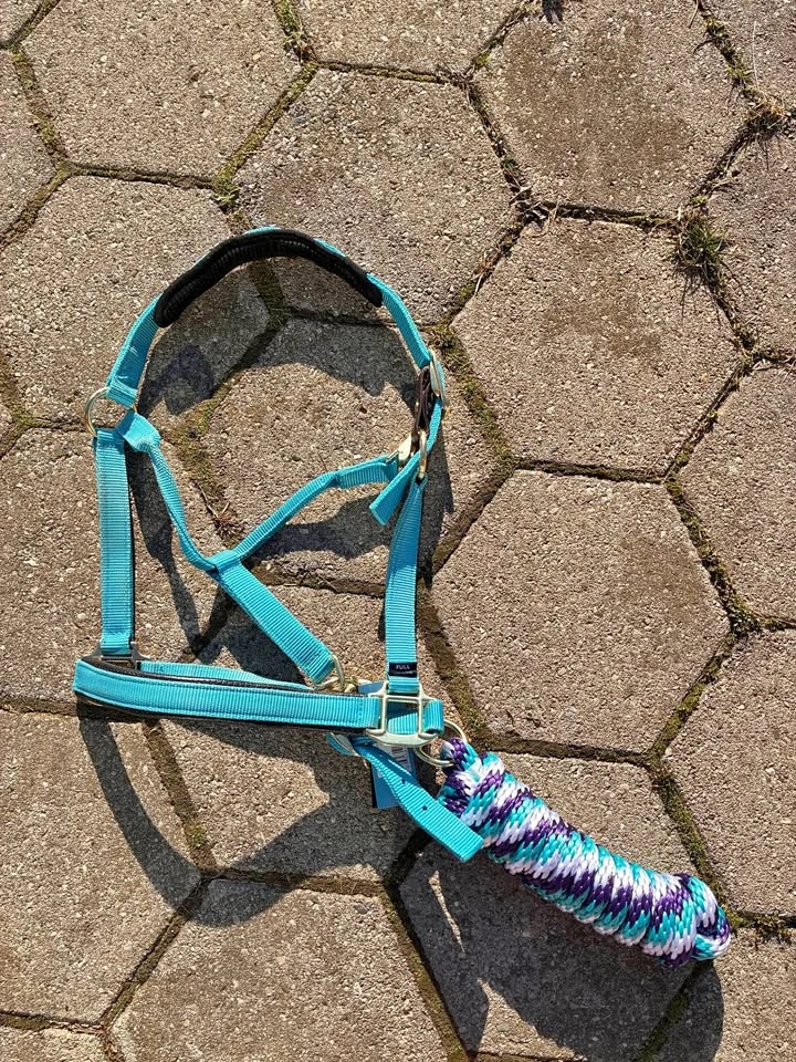 Teal Shires Nylon Full Halter and Shedrow Lead Rope