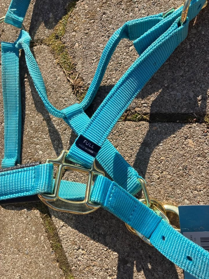 Teal Shires Nylon Full Halter and Shedrow Lead Rope - photo 2