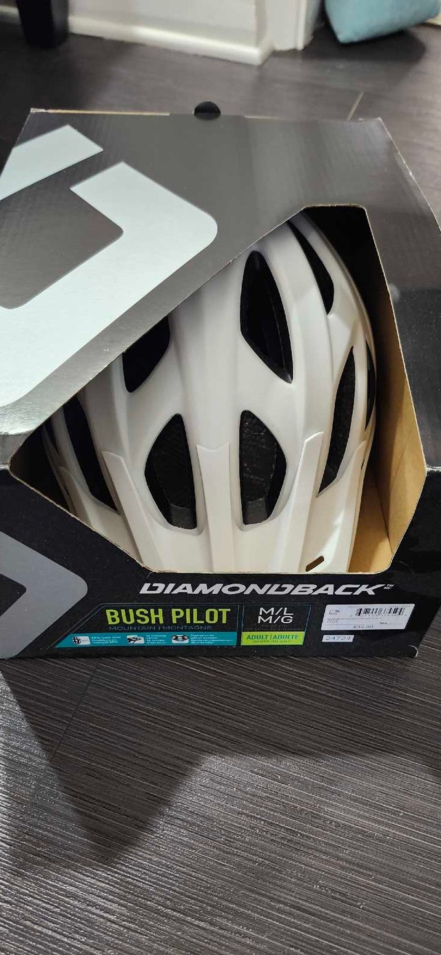 Adult Bike Helmet