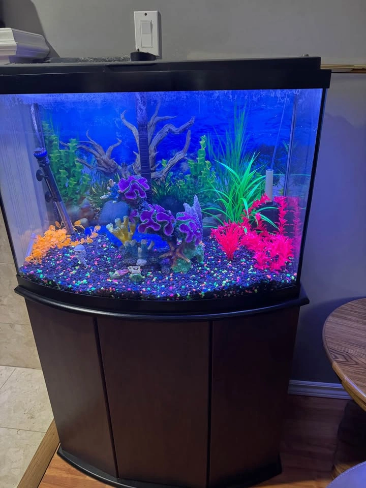 36” bow front Fish Tank - photo 2