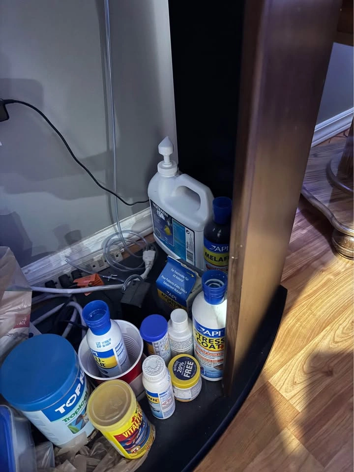 36” bow front Fish Tank - photo 4