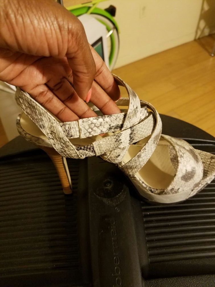 Steve madden