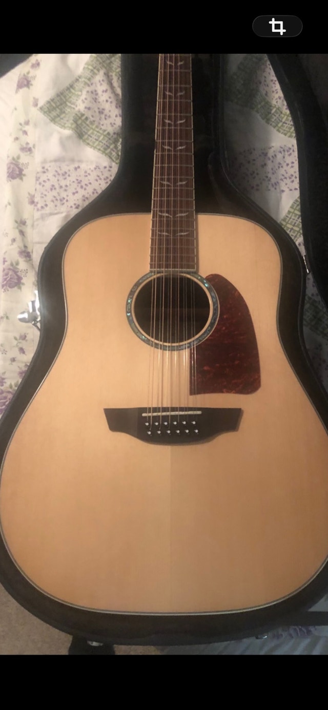 12 string acoustic electric guitar