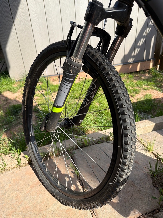 Children’s Mountain Bike - photo 2
