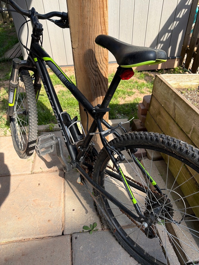 Children’s Mountain Bike - photo 3