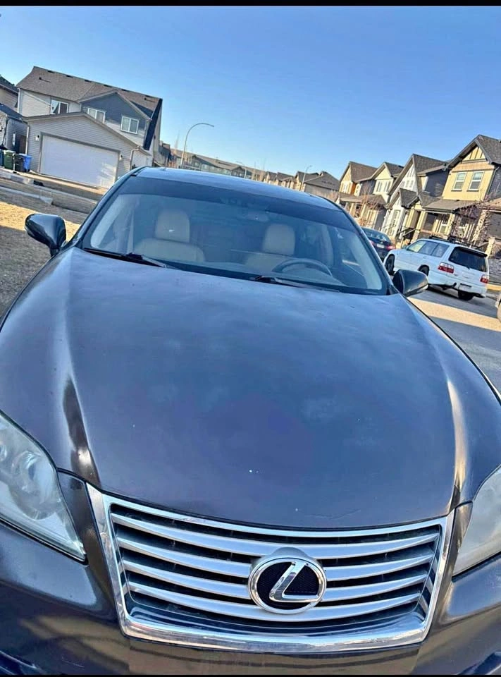 2010 Lexus ES
