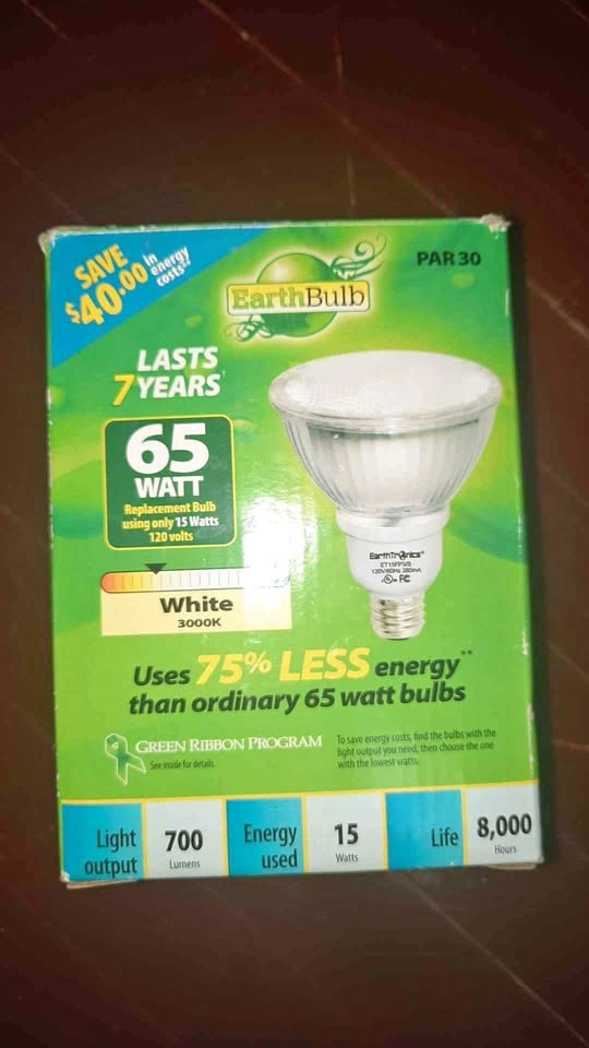 Earthbulb light bulb