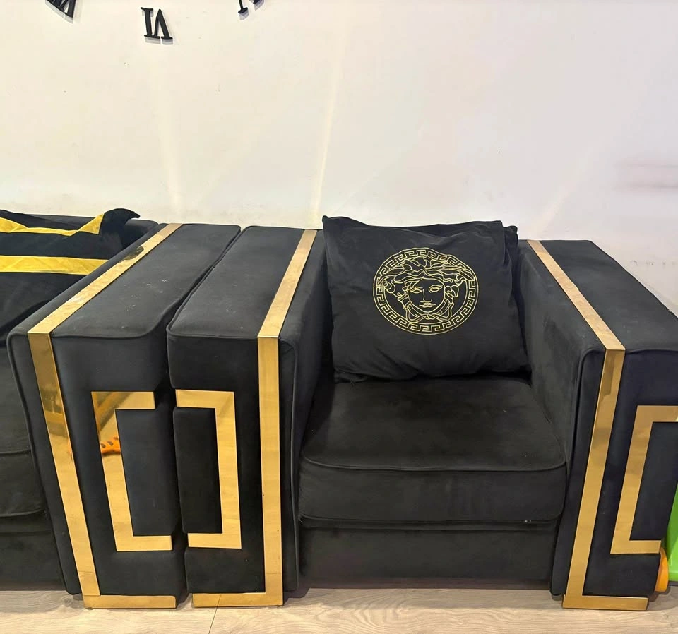 Black Velvet and Gold Living Room Set with Versace-Style Pillows