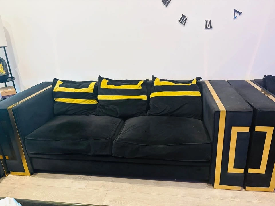 Black Velvet and Gold Living Room Set with Versace-Style Pillows - photo 2