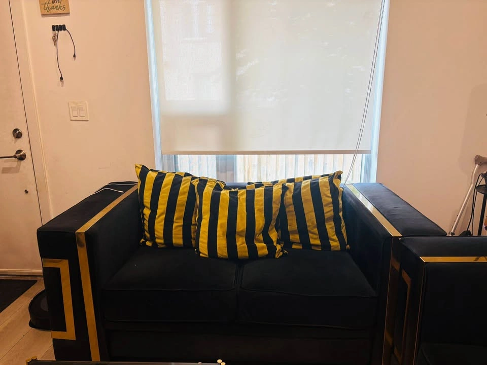 Black Velvet and Gold Living Room Set with Versace-Style Pillows - photo 3