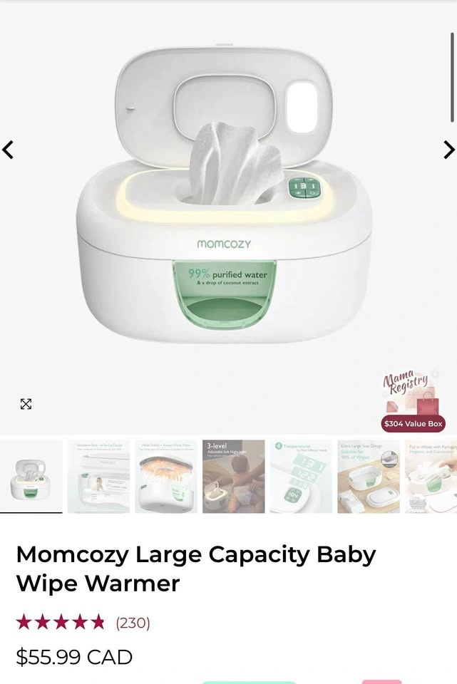 Wipe warmer