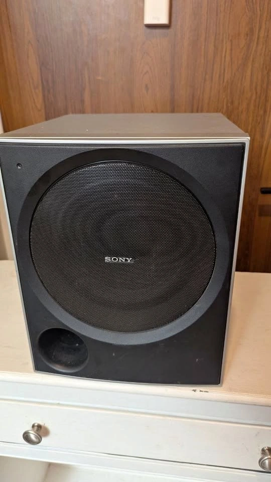 Sony 80W Active Subwoofer