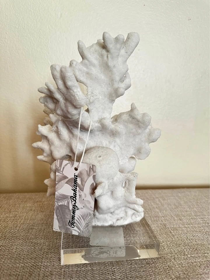 Tommy Bahama 10 inch tall faux coral sculpture