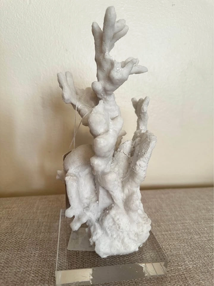 Tommy Bahama 10 inch tall faux coral sculpture - photo 2