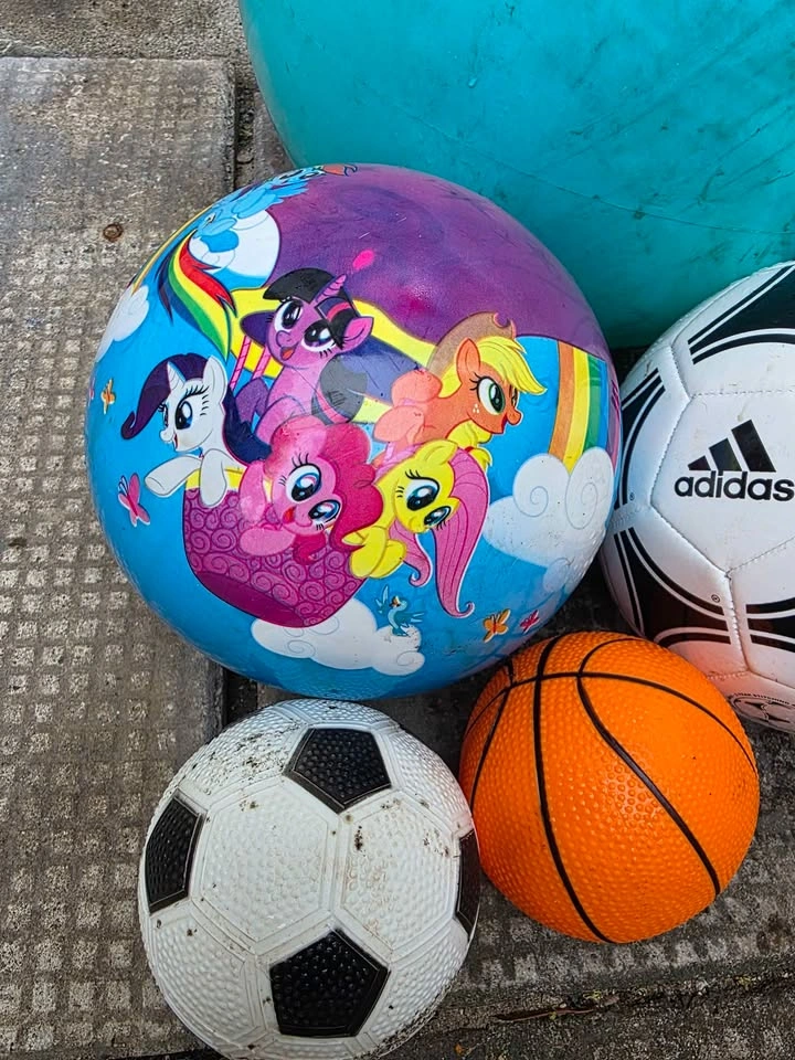 Ball collection - photo 3
