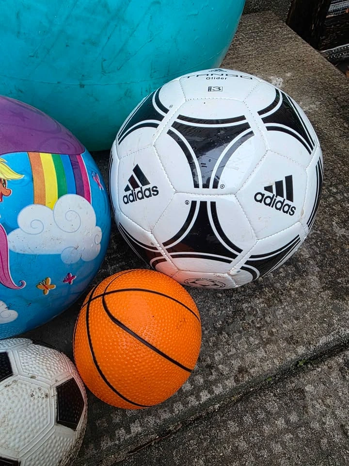 Ball collection - photo 4