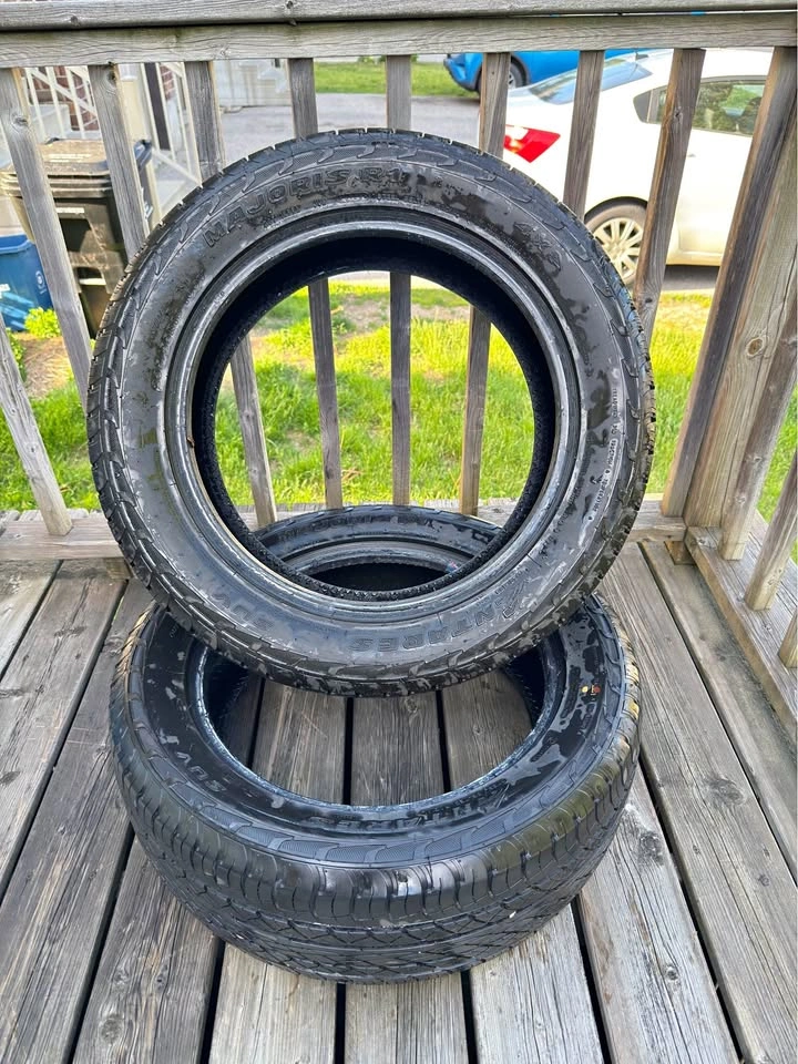 Tires Antares Majoris R1