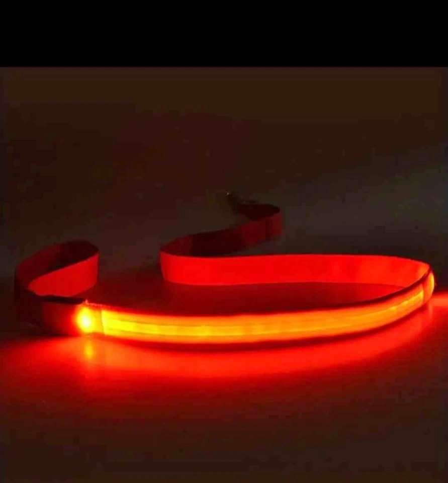 USB Rechargeable LED Dog Collar - Adjustable Night Safety