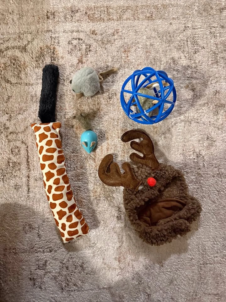 Cat Toys & Hat