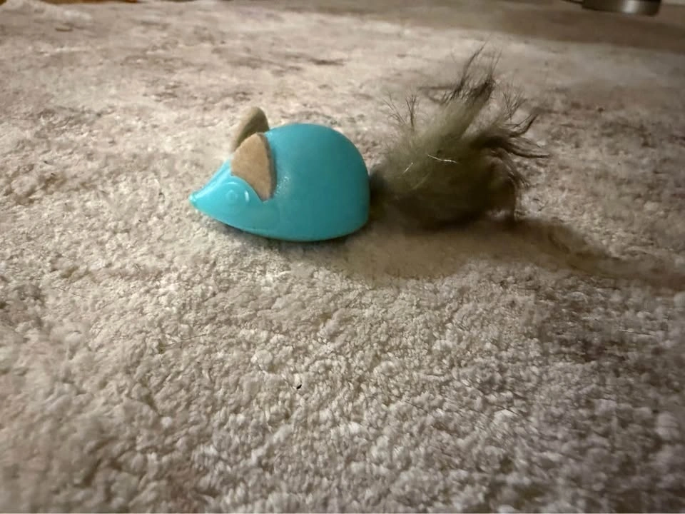 Cat Toys & Hat - photo 4