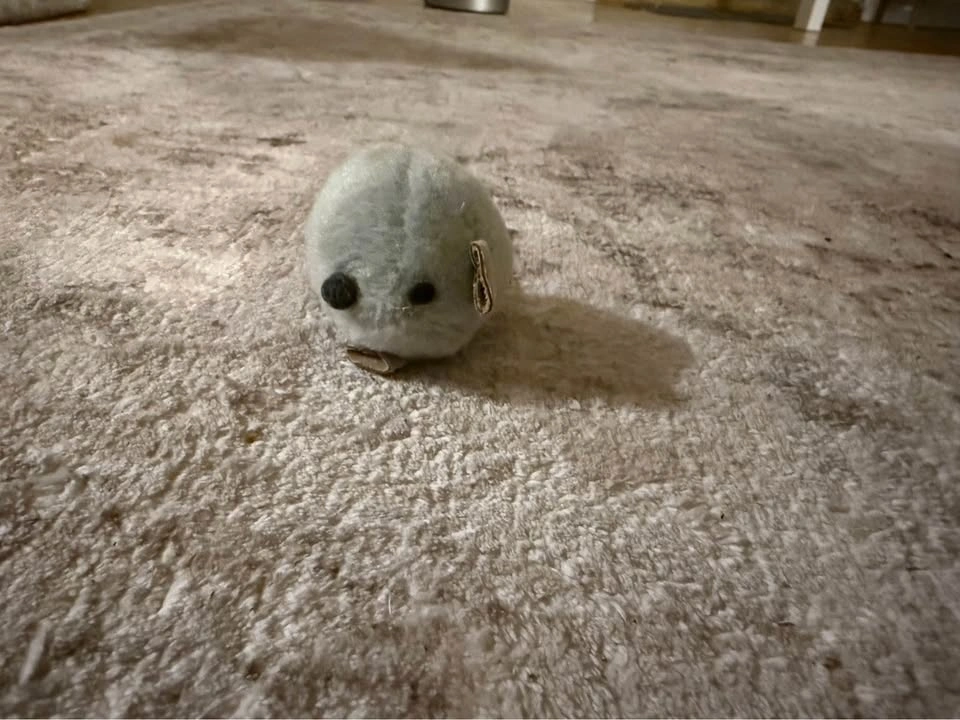 Cat Toys & Hat - photo 5