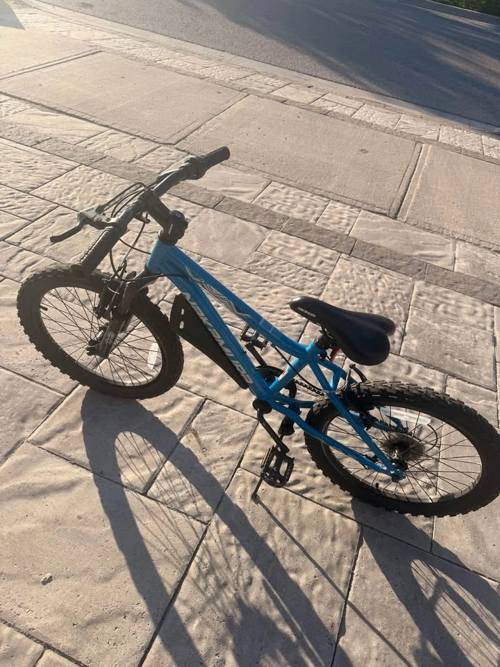 Nakamura blue kids bike - photo 5