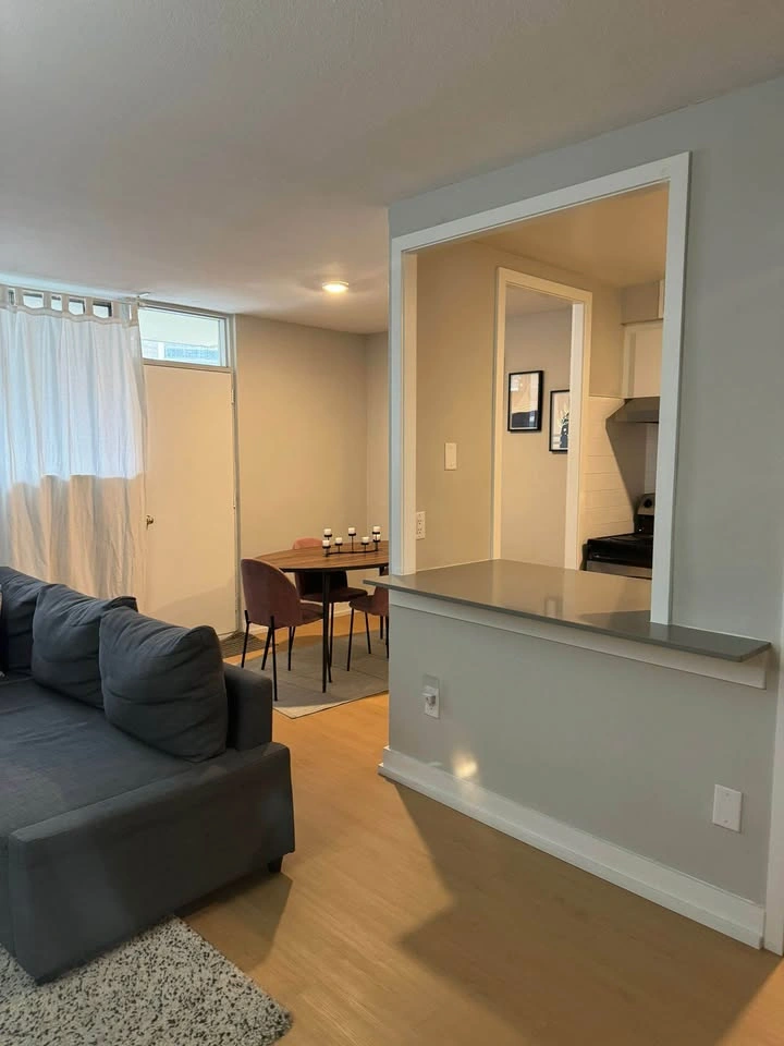1 Bed 1 Bath - Apartment - photo 5