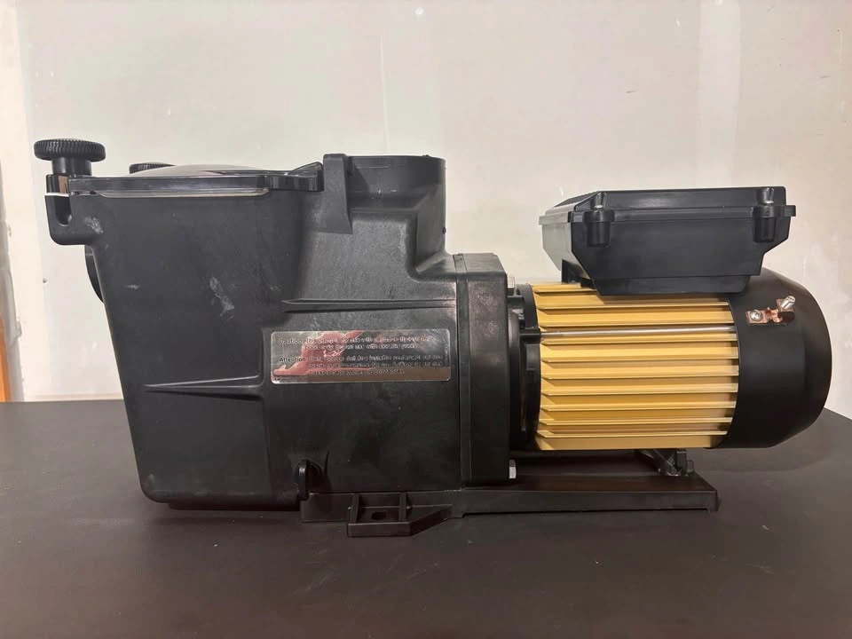 Hayward super pump 700 - photo 3