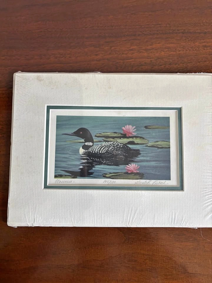 Limited edition prints