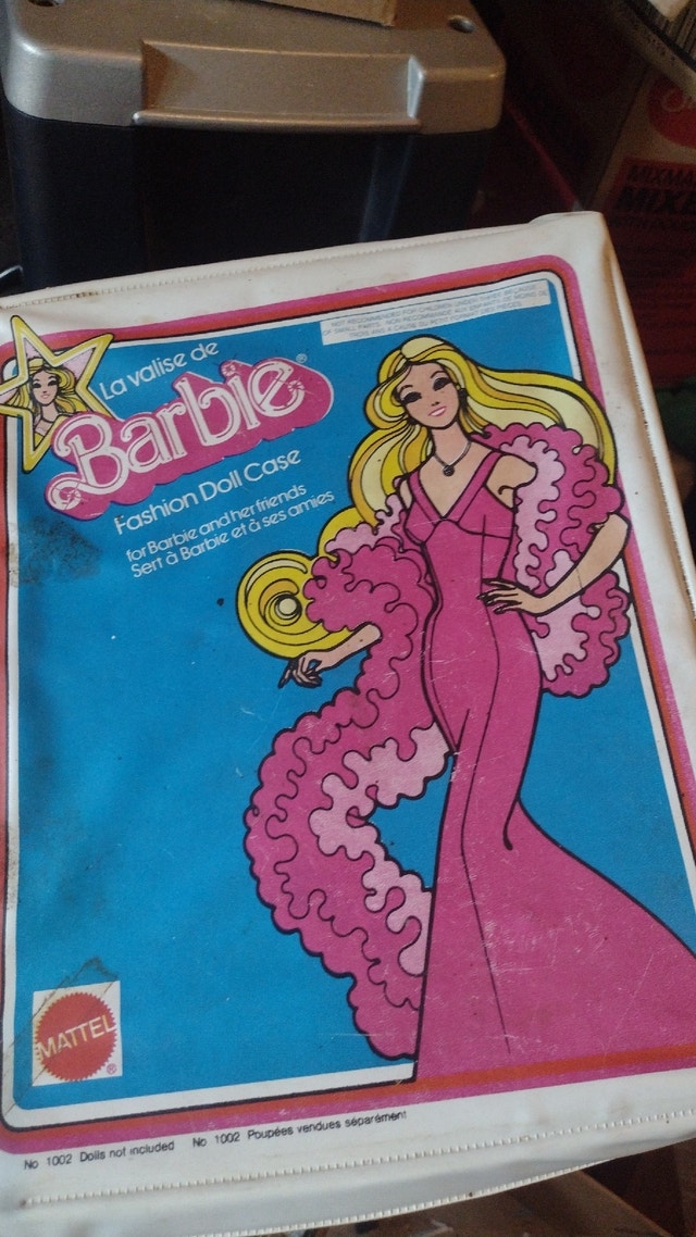 Barbie Doll case