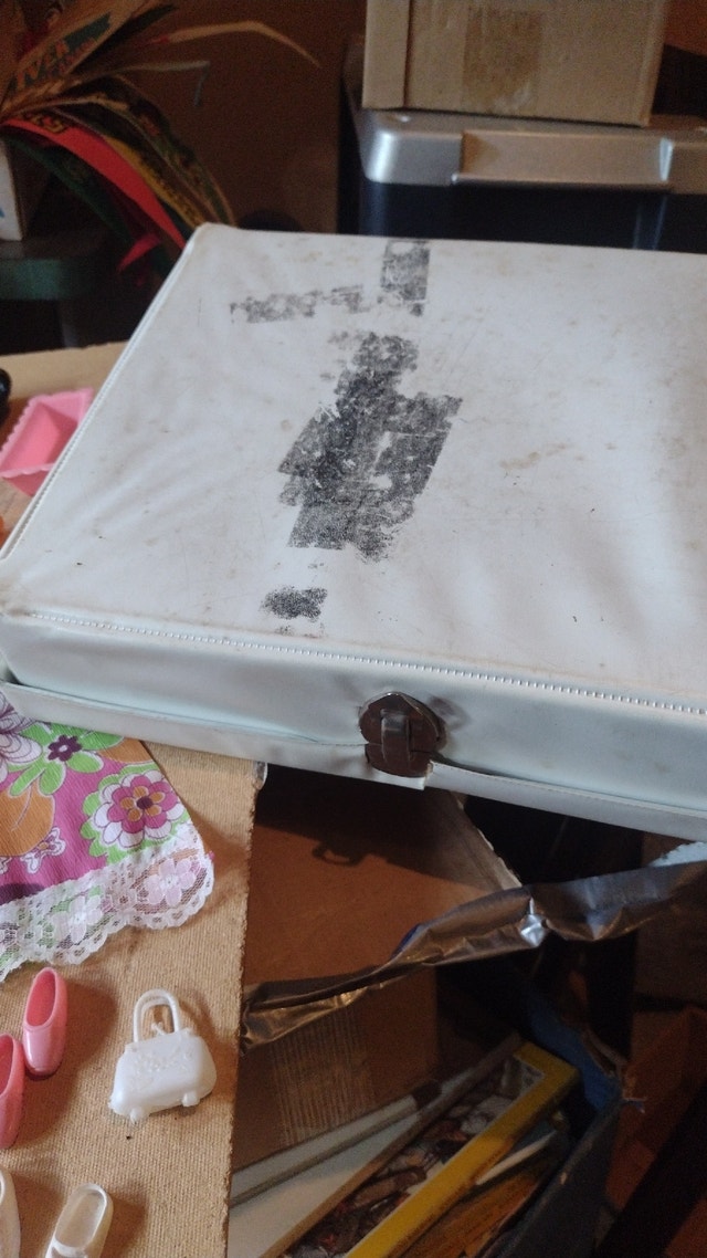 Barbie Doll case - photo 3