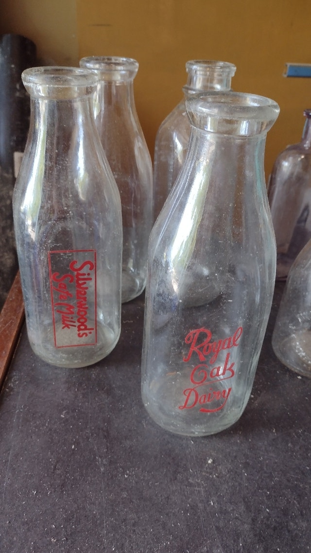 Vintage Milk bottles/medicine