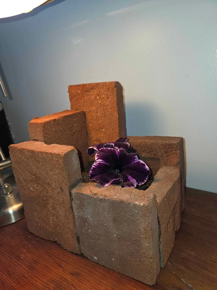 Cute and unique in real brick - photo 2