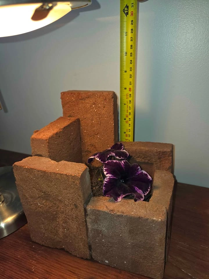 Cute and unique in real brick - photo 3