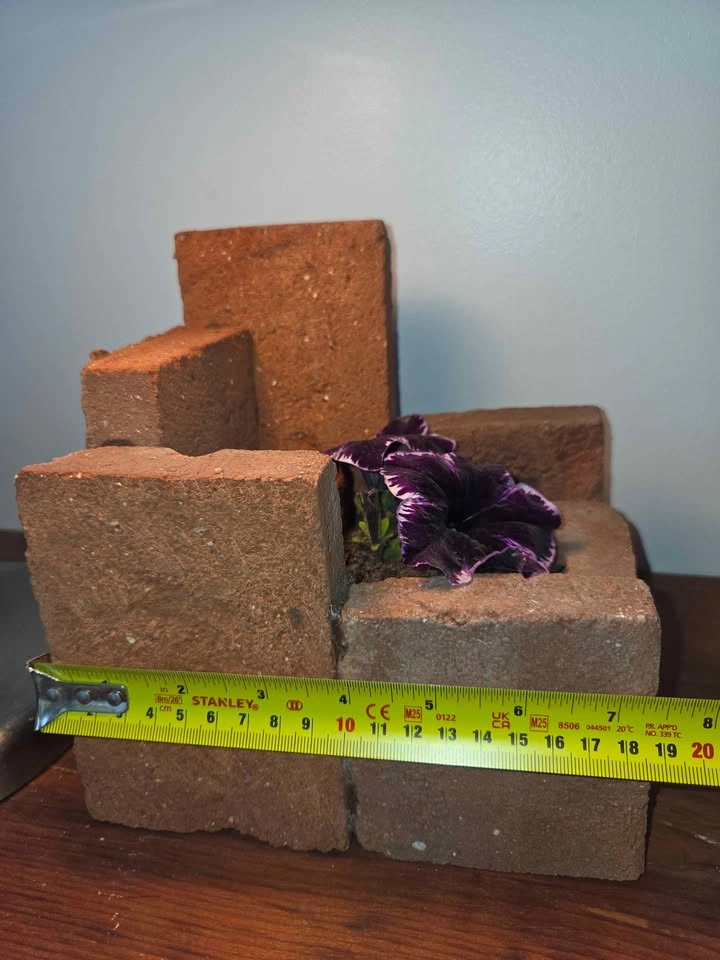 Cute and unique in real brick - photo 4