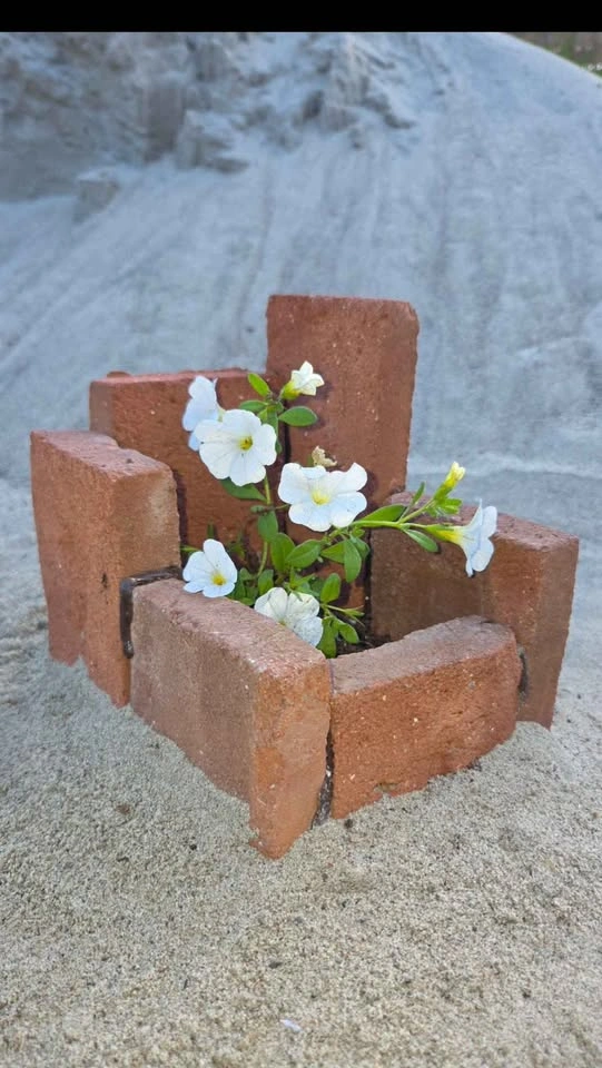 Cute and unique in real brick - photo 5