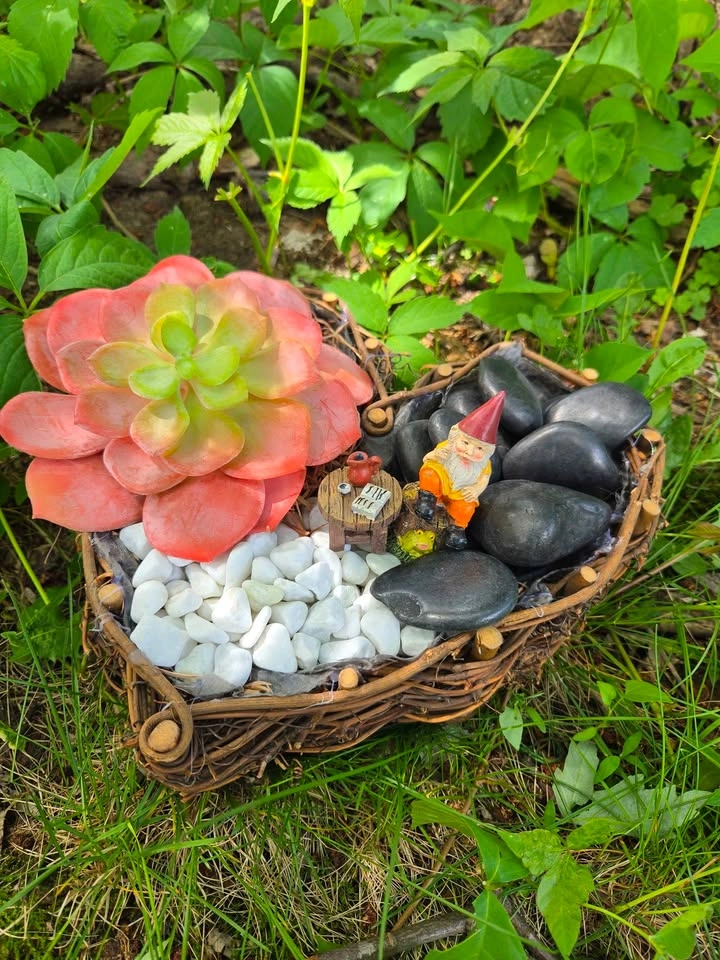 Playground for succulents plants - photo 4