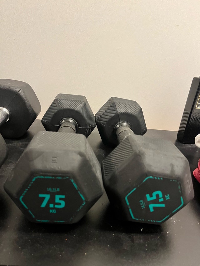 ZIVA Dumbbell Set – 7.5 kg & 20 lb Pairs