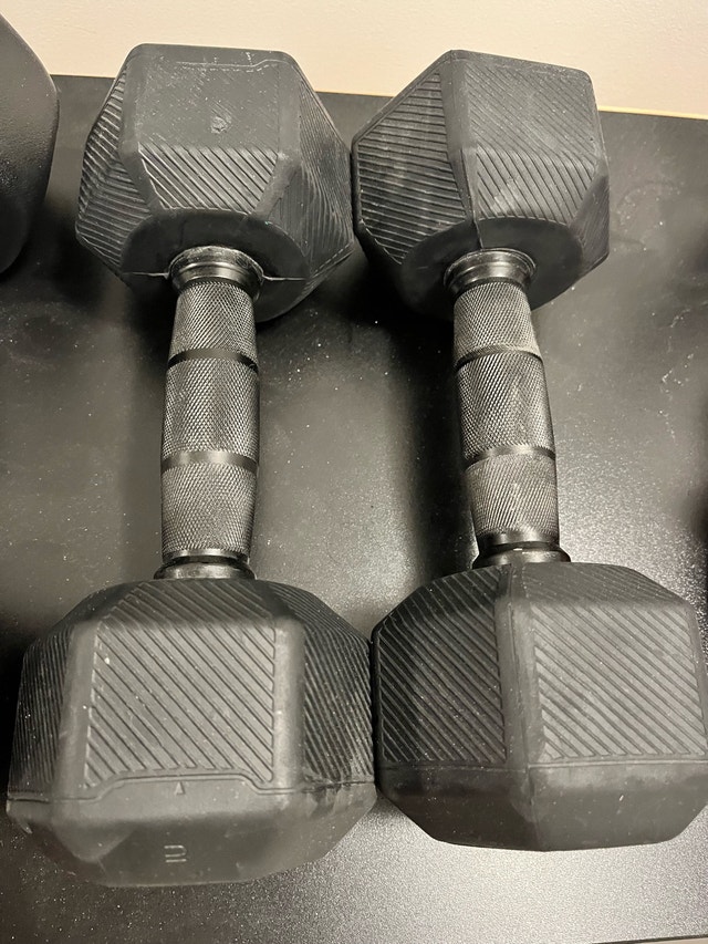 ZIVA Dumbbell Set – 7.5 kg & 20 lb Pairs - photo 2