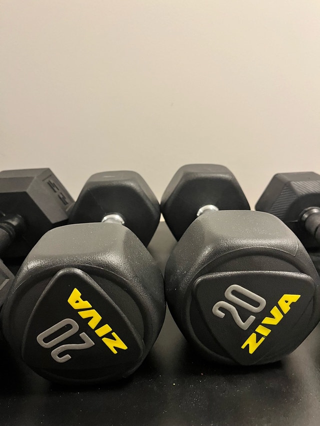 ZIVA Dumbbell Set – 7.5 kg & 20 lb Pairs - photo 3