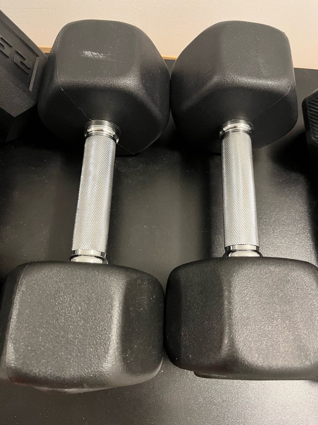 ZIVA Dumbbell Set – 7.5 kg & 20 lb Pairs - photo 4