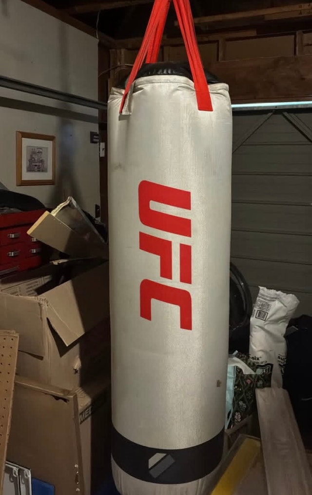 UCF Punching Bag